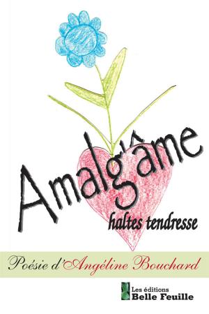 bigCover of the book Amalg'âme by 