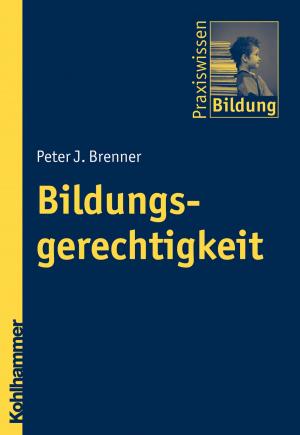 Cover of the book Bildungsgerechtigkeit by Andrea Besendorfer