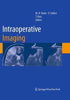 Cover of the book Intraoperative Imaging by R.W. Schlesinger, S. Hotta