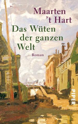 Cover of the book Das Wüten der ganzen Welt by Stefan Thull