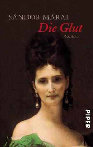 Cover of the book Die Glut by Anne Morrow Lindbergh