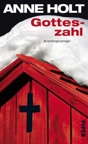 bigCover of the book Gotteszahl by 