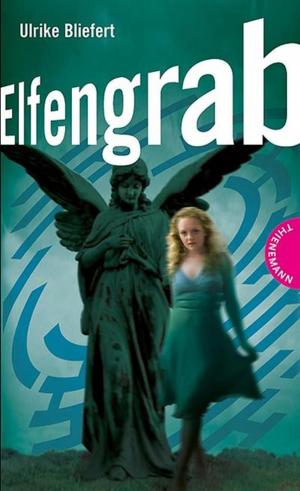 Cover of the book Elfengrab by Karl Olsberg, Dirk Steinhöfel