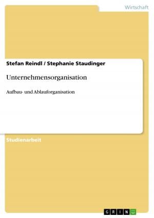 Cover of the book Unternehmensorganisation by Susanne Müller