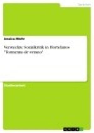 Cover of the book Versteckte Sozialkritik in Hortelanos 'Tormenta de verano' by Christiane Berger