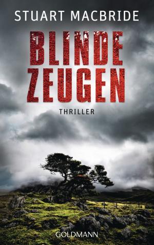 Cover of the book Blinde Zeugen by Allan Guthrie, Len Wanner