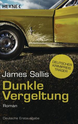Cover of the book Dunkle Vergeltung by Roger Zelazny