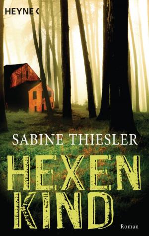 Cover of the book Hexenkind by Michael Hübner