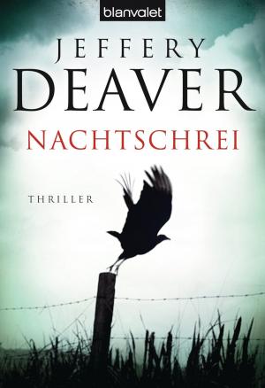 Cover of the book Nachtschrei by Brigitte Kanitz