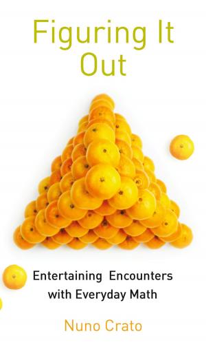 Cover of the book Figuring It Out by 