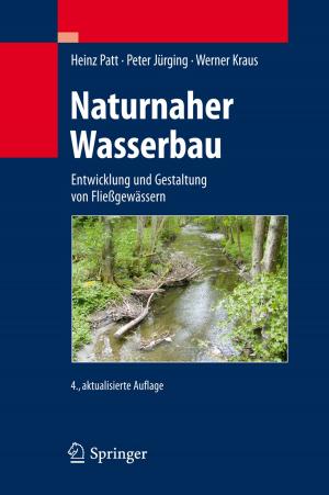Book cover of Naturnaher Wasserbau