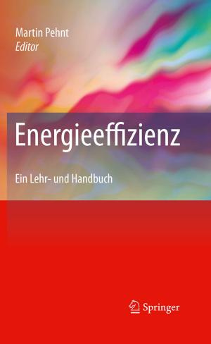 Cover of the book Energieeffizienz by Daniel Wollschläger