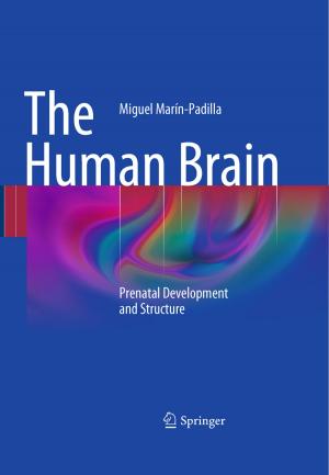 Cover of the book The Human Brain by P.J. Heenan, L.H. Sobin, D. Elder