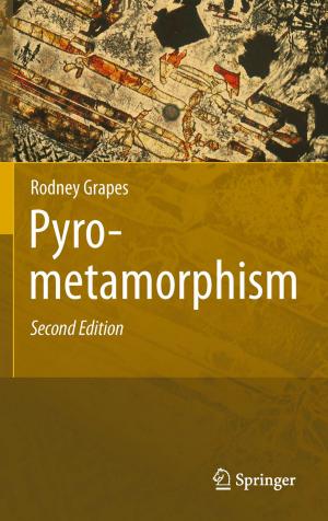 Cover of the book Pyrometamorphism by John Erpenbeck, Werner Sauter