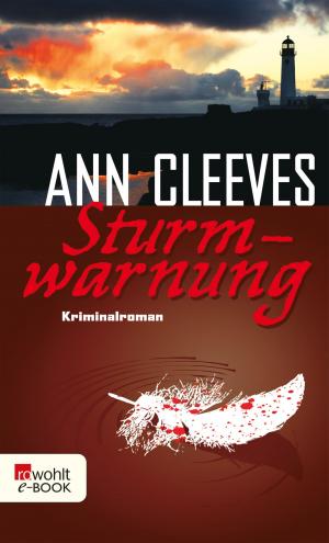 Cover of the book Sturmwarnung by Bernard Cornwell