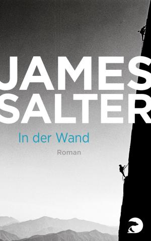 Cover of the book In der Wand by Edgar Rai