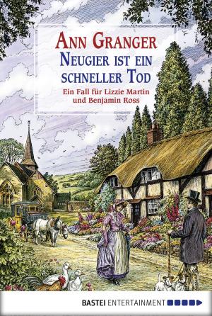 Cover of the book Neugier ist ein schneller Tod by Karin Graf