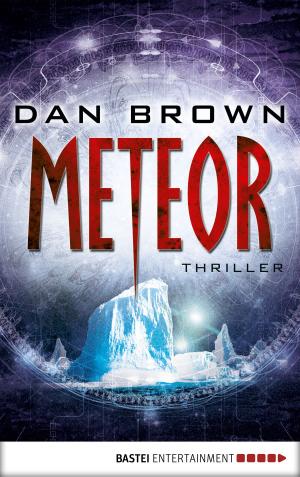 Cover of the book Meteor by Ricarda Jordan