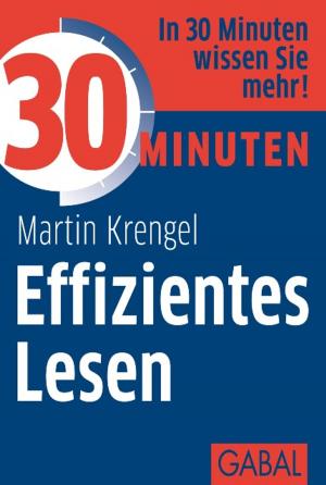 Cover of the book 30 Minuten Effizientes Lesen by Hartmut Laufer