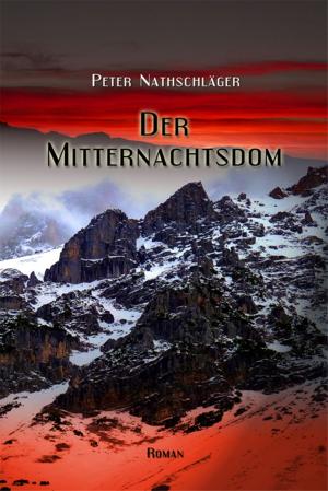 Cover of the book Der Mitternachtsdom by Hansjörg Anderegg