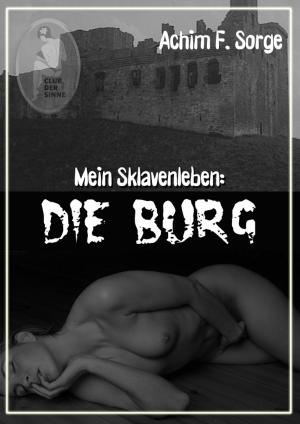 Cover of the book Mein Sklavenleben: Die Burg by Claas van Thijs