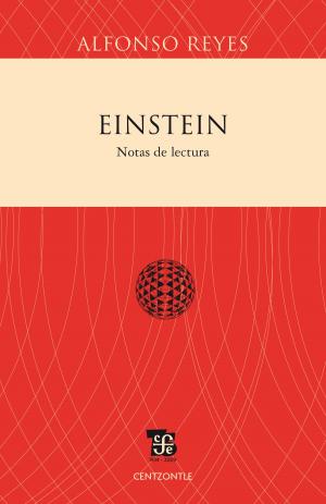Cover of the book Einstein by Miguel de la Madrid Hurtado