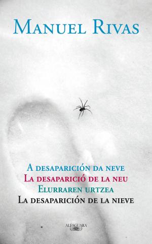 Cover of the book La desaparición de la nieve by David Wotruba