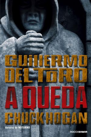 Book cover of A queda
