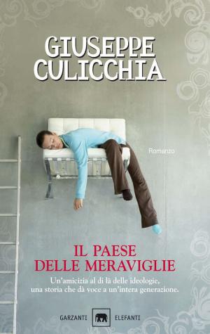 Book cover of Il paese delle meraviglie