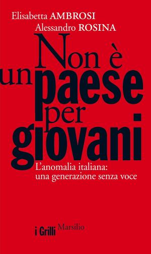 Cover of the book Non è un paese per giovani by Diego Bottacin, Antonio Polito