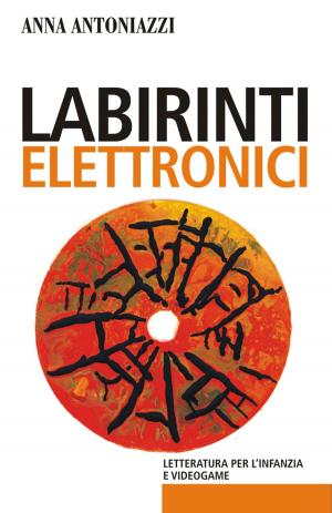 Book cover of Labirinti elettronici