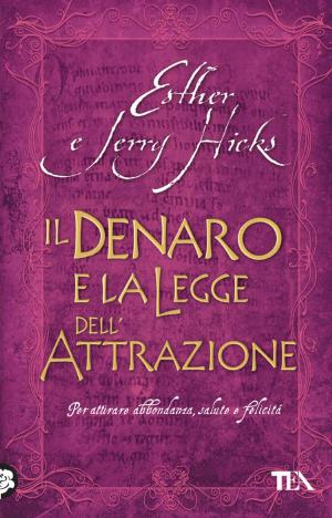 Cover of the book Il denaro e la legge dell'attrazione by Tucker Max