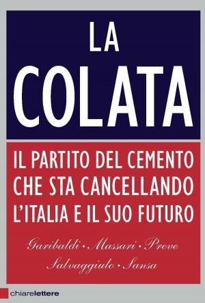 Cover of the book La colata by Stéphane Hessel, Edgar Morin