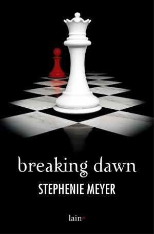 Cover of the book Breaking Dawn by Christian Salmon