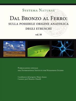 bigCover of the book Dal bronzo al ferro. Sulla possibile origine anatolica degli Etruschi by 