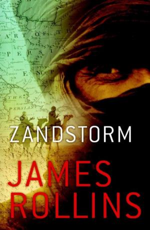 Cover of the book Zandstorm by Clayton Spann