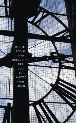 Cover of the book Mijn ontmoeting met God en andere avonturen by Wouter Godijn