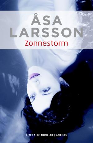 bigCover of the book Zonnestorm by 