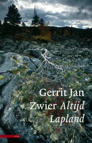 Cover of the book Altijd Lapland by Dimitri Verhulst