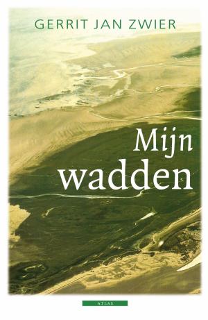 Cover of the book Mijn wadden by Anton Valens
