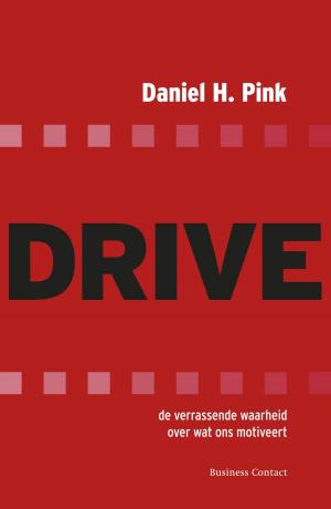 Cover of the book Drive by Wanda Reisel
