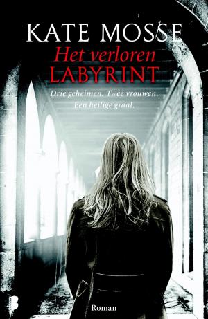 Cover of the book Het verloren labyrint by Jackie van Laren