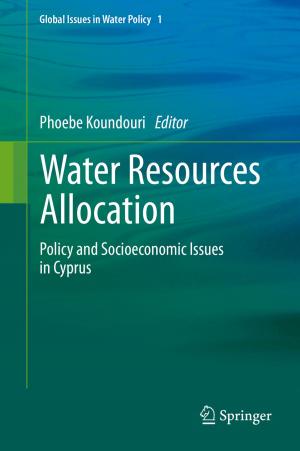 Cover of the book Water Resources Allocation by Igor L. Shabalin