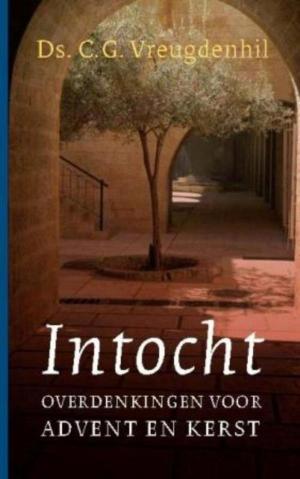 Cover of the book Intocht by Joke Verweerd