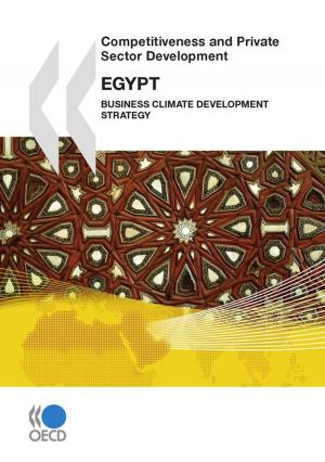Cover of Competitiveness and Private Sector Development: Egypt 2010