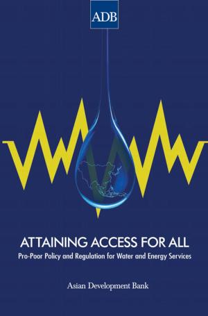 Cover of the book Attaining Access for All by 