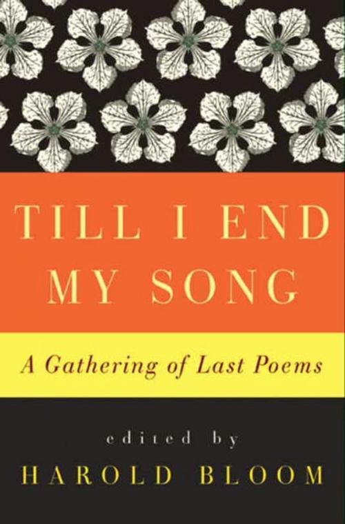 Cover of the book Till I End My Song by Harold Bloom, HarperCollins e-books