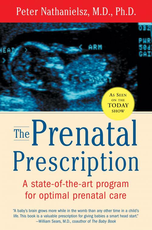 Cover of the book The Prenatal Prescription by Peter Nathanielsz, Christopher Vaughan, HarperCollins e-books