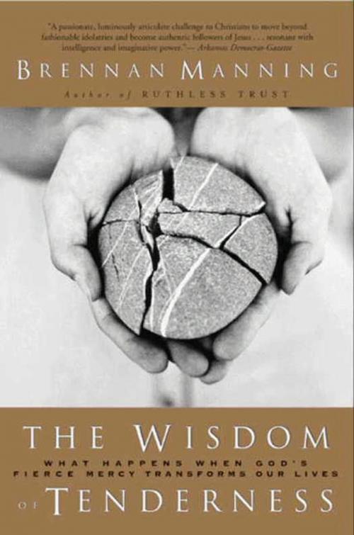 Cover of the book The Wisdom of Tenderness by Brennan Manning, HarperOne