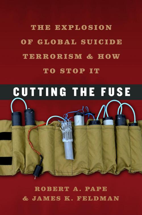 Cover of the book Cutting the Fuse by Robert A. Pape, James K. Feldman, University of Chicago Press